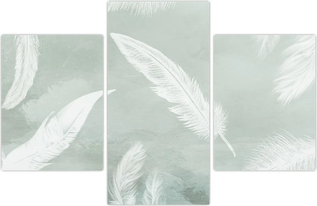 Tablou - Pene albe (90x60 cm)