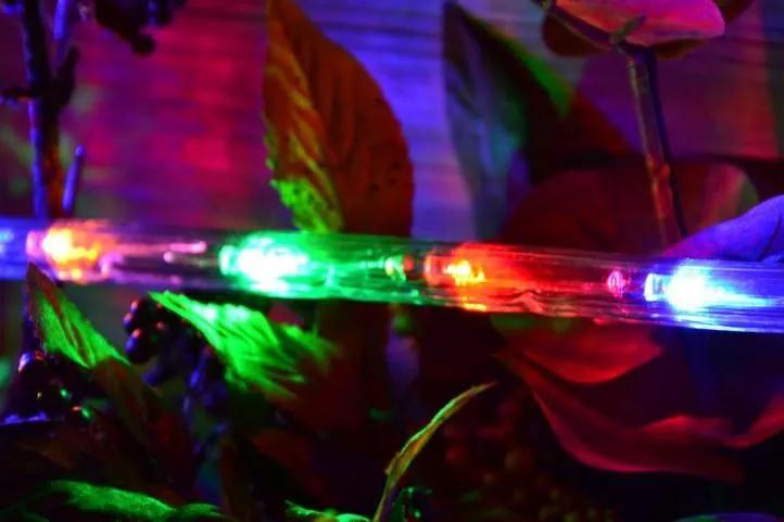 Cablu luminos LED - 240 becuri, 10 m, multicolor