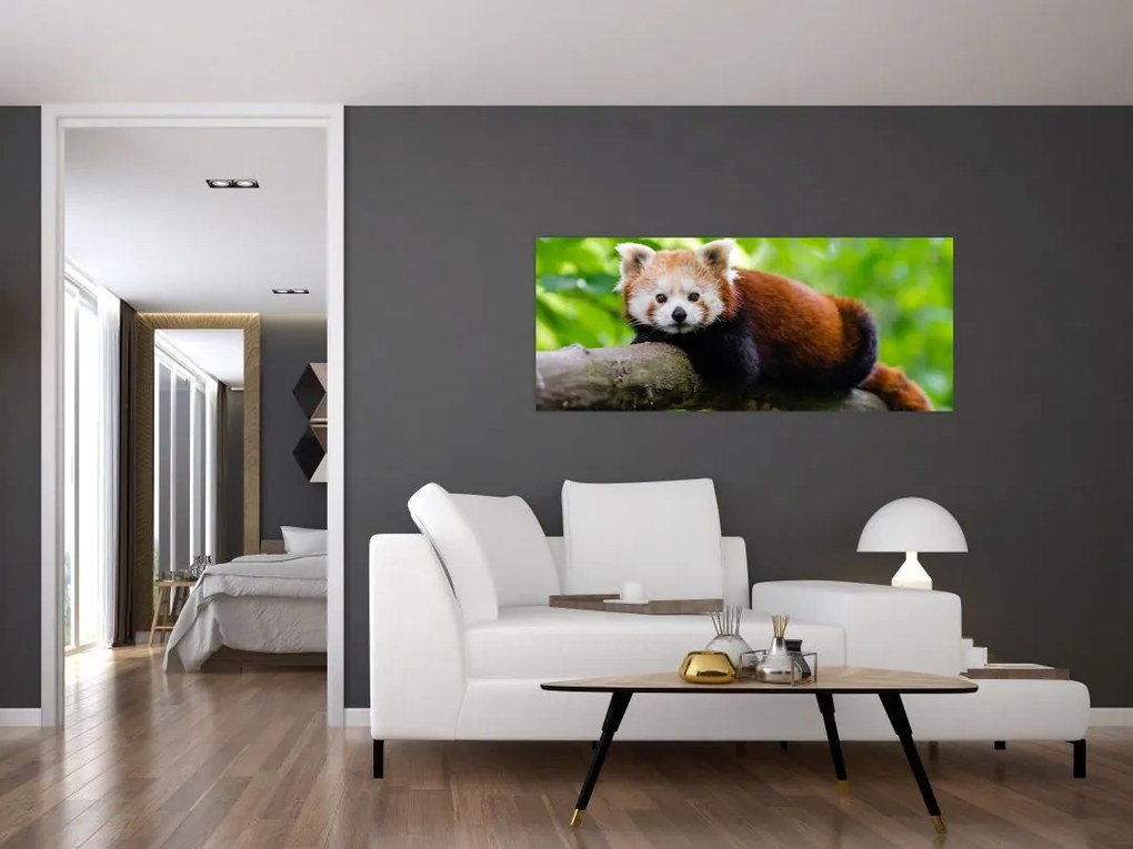 Tablou cu panda roșie (120x50 cm)