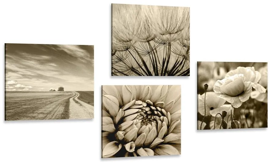 Set de tablouri câmp cu flori în design sepia