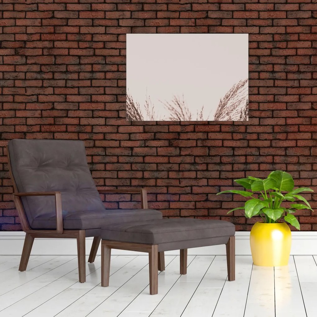 Tablou pe sticlă - Iarbă uscată (70x50 cm)