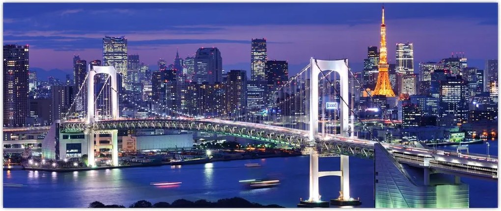 Tablou metropolei nocture (120x50 cm)