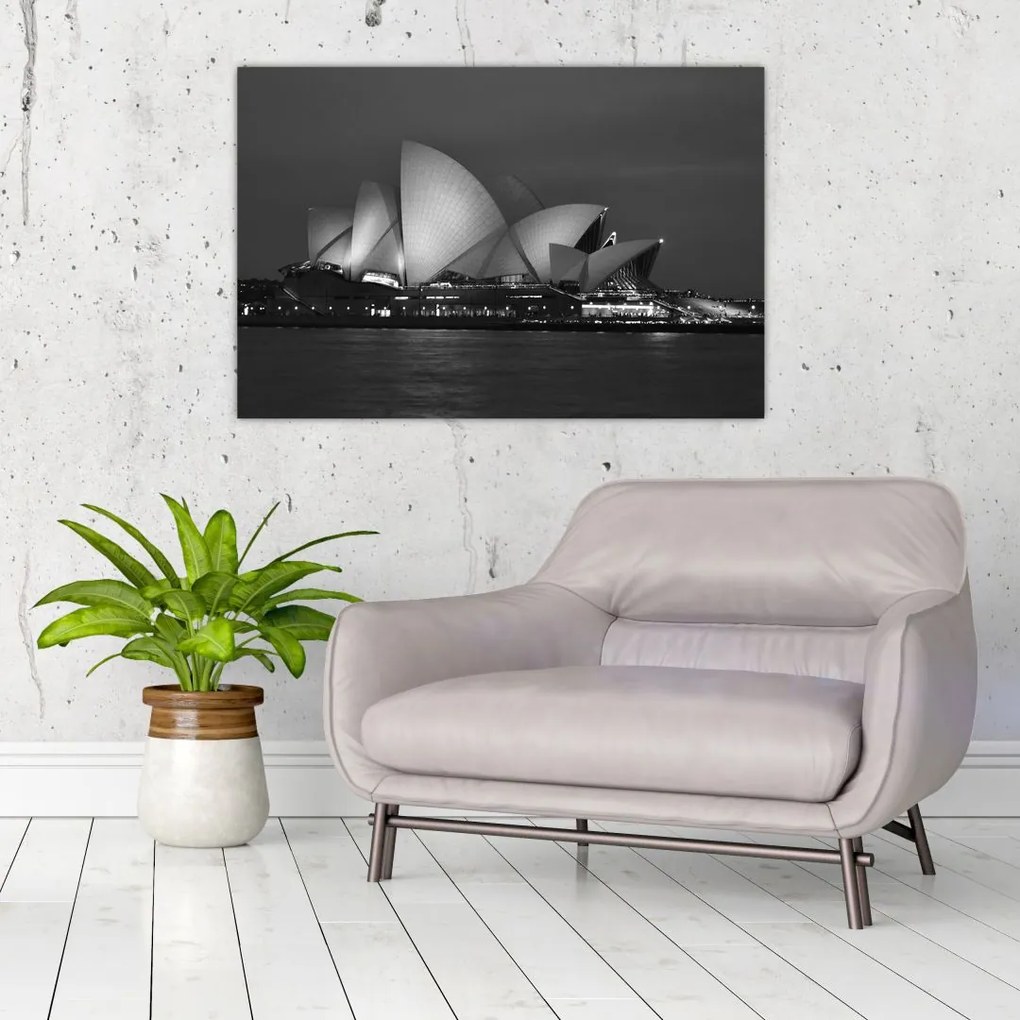 Tablou cu Opera din Sydney (90x60 cm)