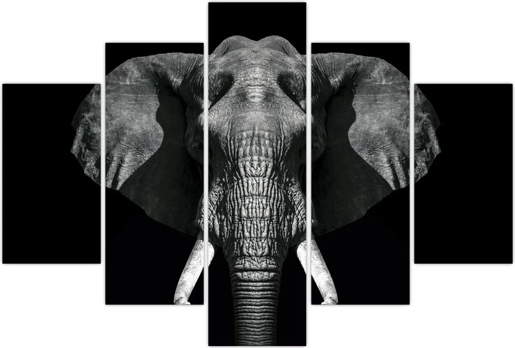 Tablou - Elefant pe fundal negru (150x105 cm)