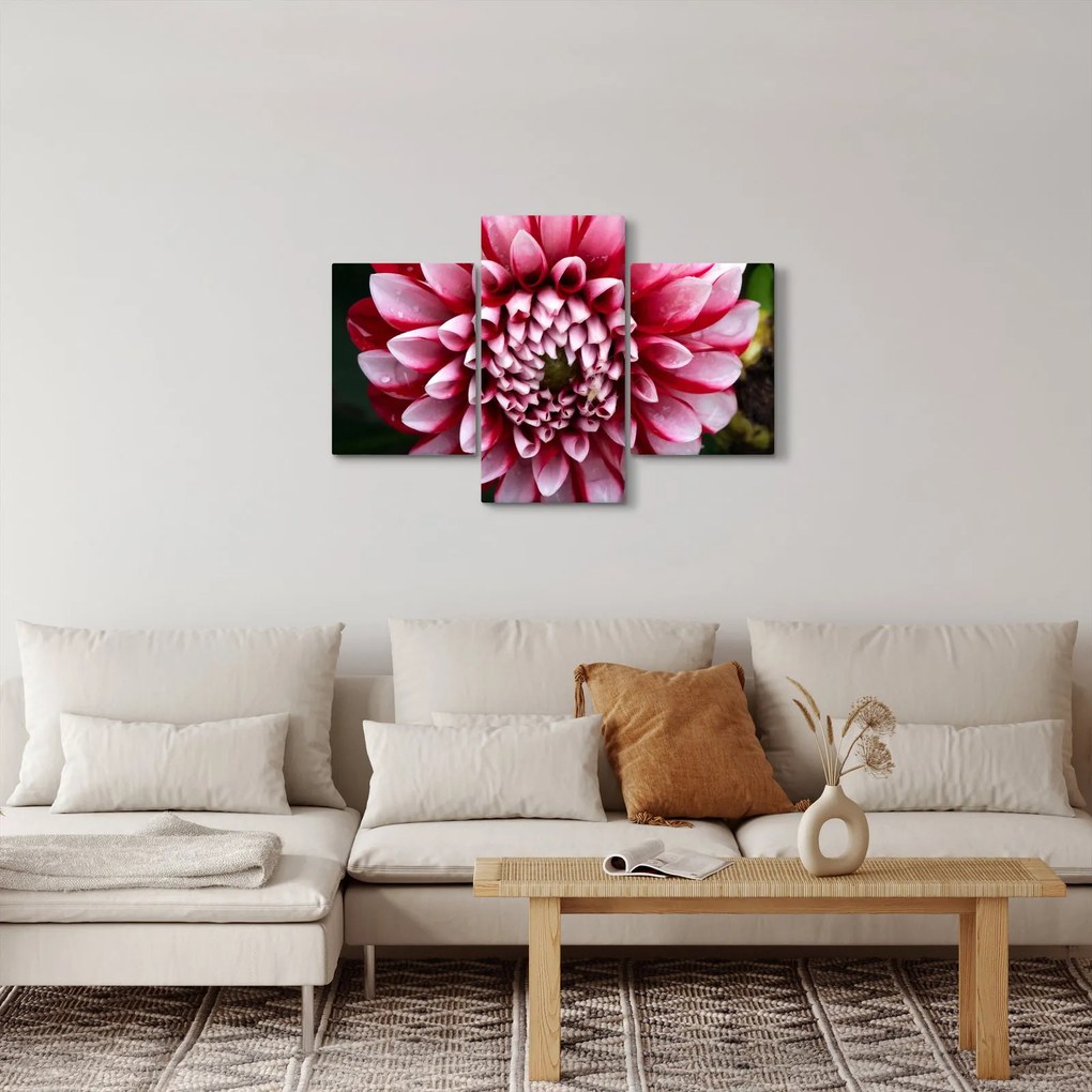 Tablou cu dalie roz (90x60 cm)