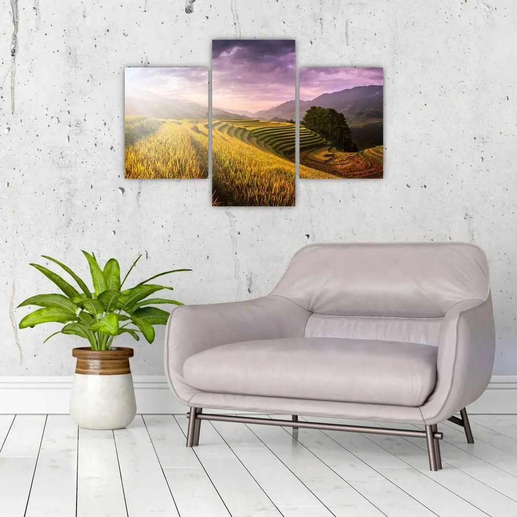 Tablou peisajului (90x60 cm)