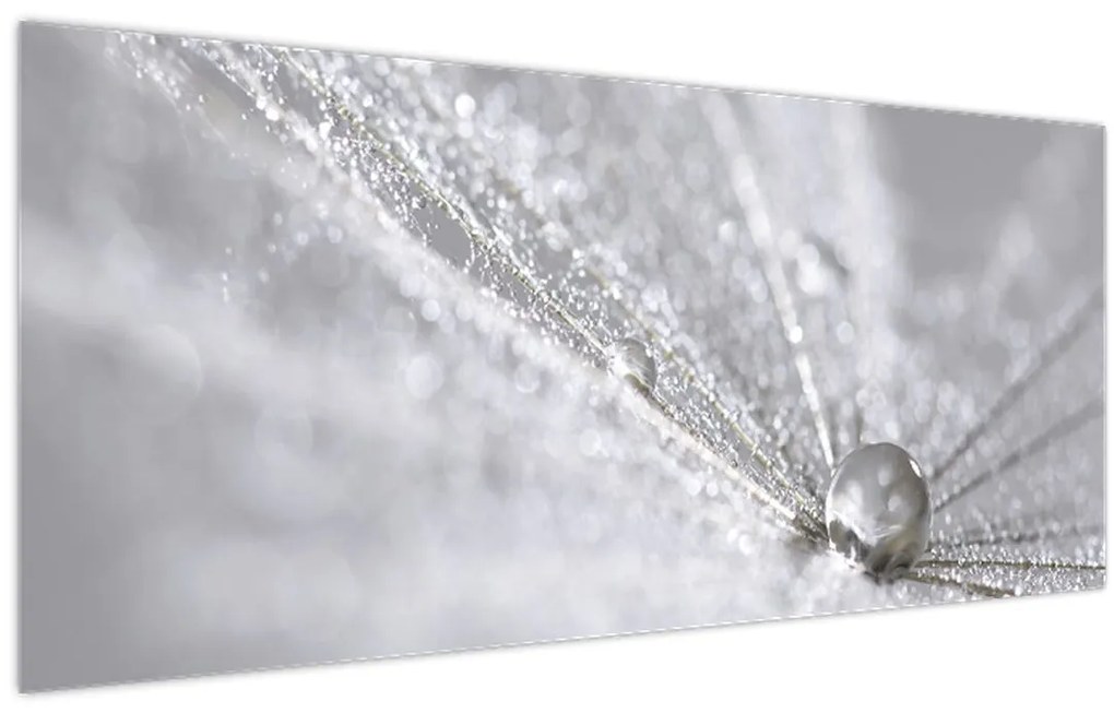 Tablou - Picătură de apă (120x50 cm)