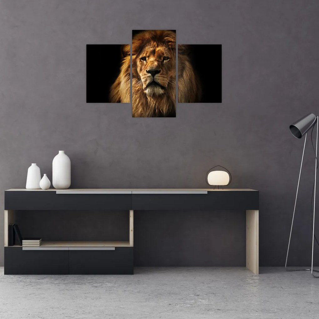 Tablou - Leu cu o coamă bogată (90x60 cm)