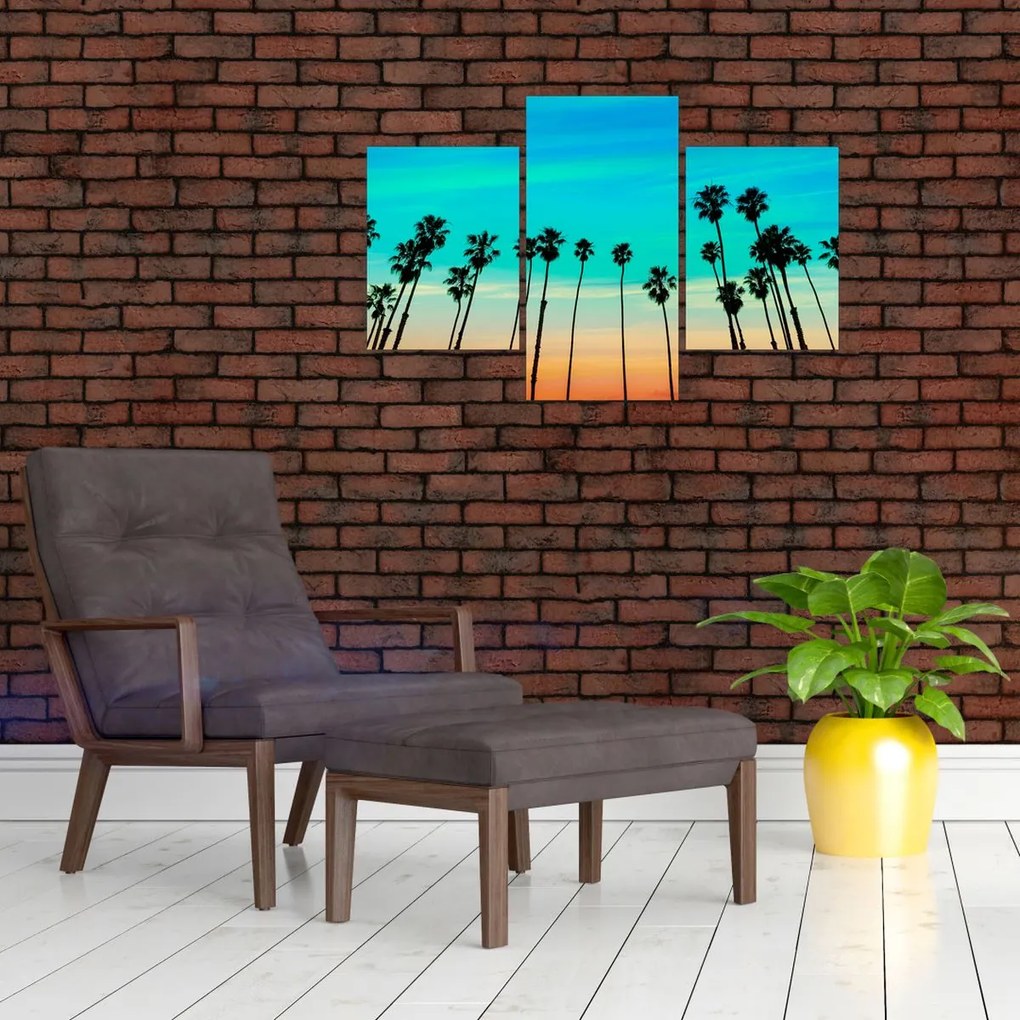 Tablou - California (90x60 cm)