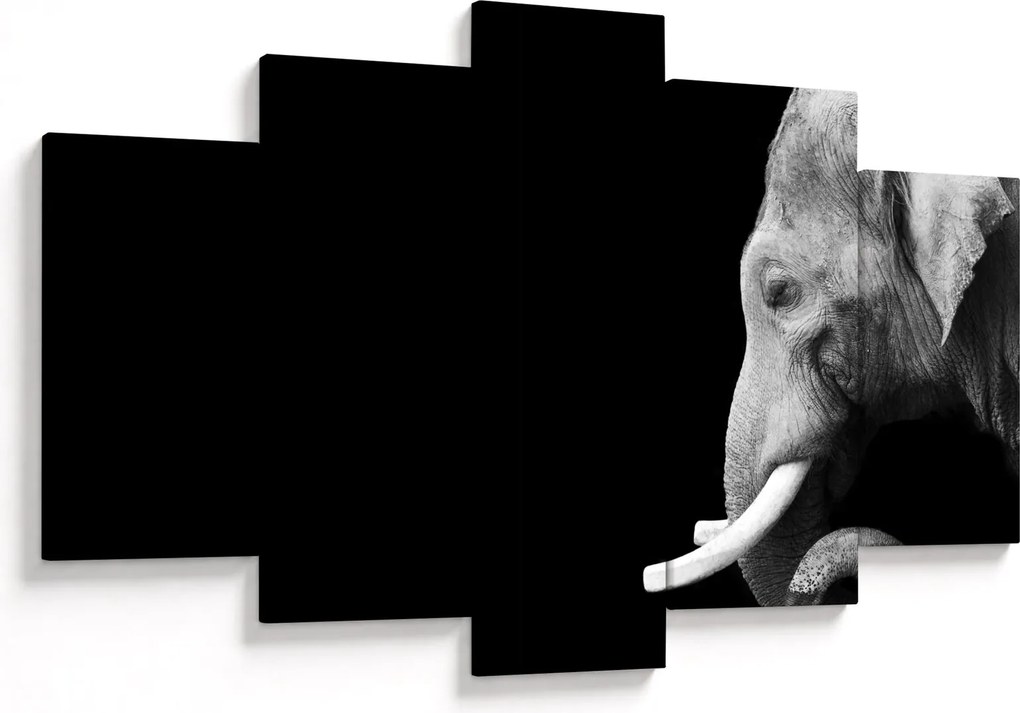 Tablou - Elefant (150x105 cm)