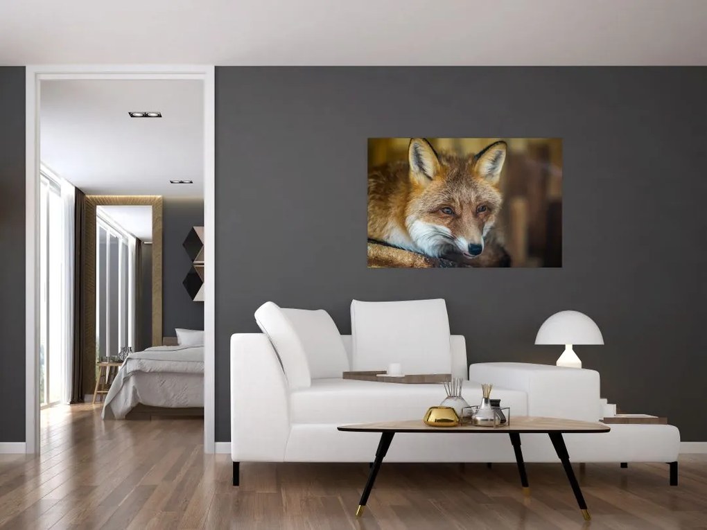 Tablou cu vulpe (90x60 cm)