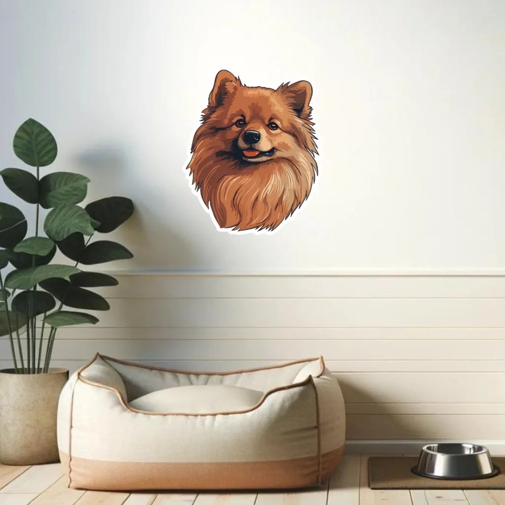 PIPPER. Autocolant Pomeranian mărimea: 60cm