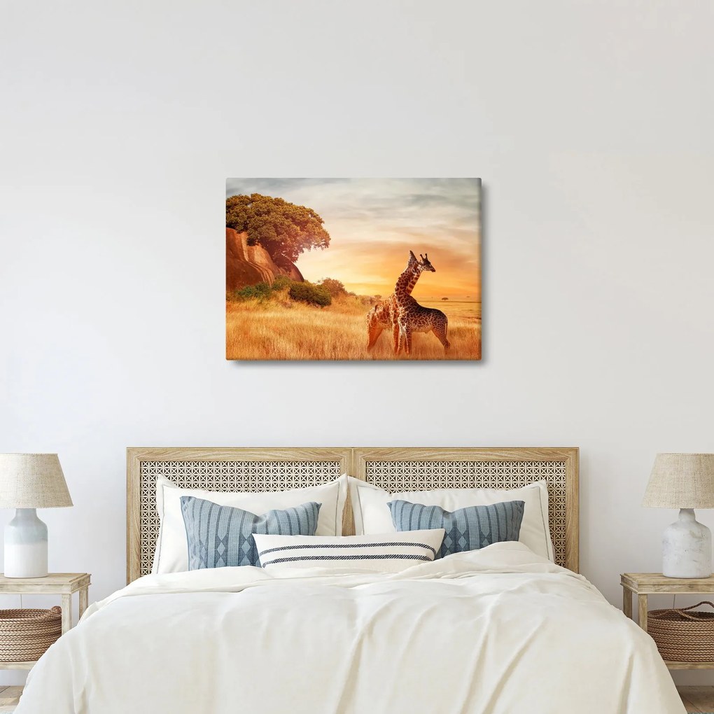 Tablou Girafe în Africa (70x50 cm)