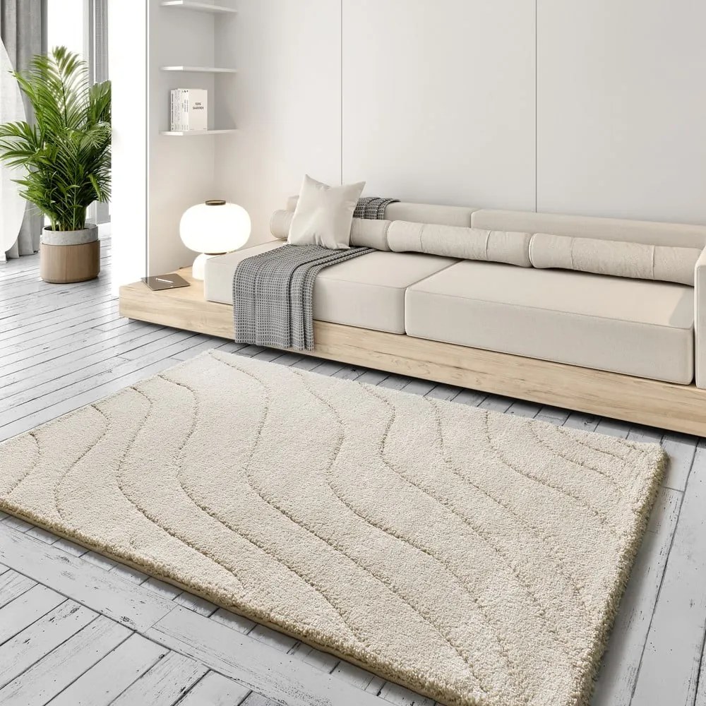 Covor crem 160x230 cm Molier – Universal