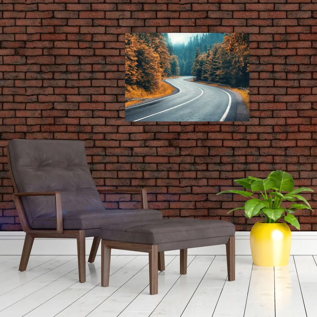 Tablou - Drumul cu serpentine (70x50 cm)