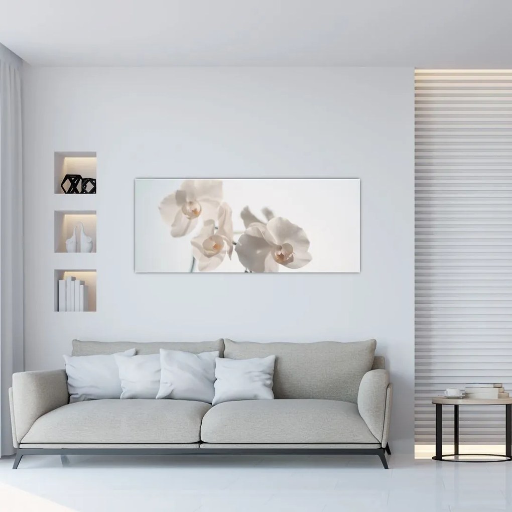 Tablou cu orhidee albă (120x50 cm)