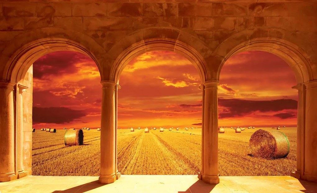 Fototapet - Câmp (152,5x104 cm)