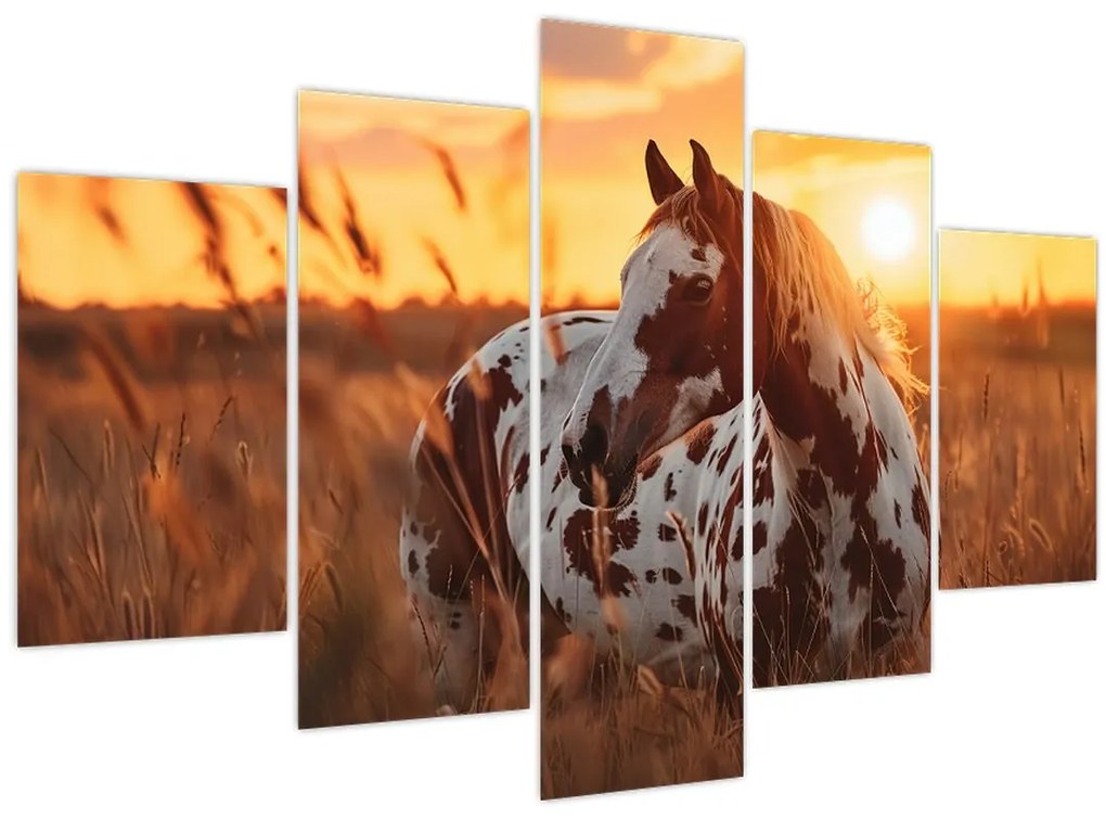 Tablou - Cal la Apus (150x105 cm)