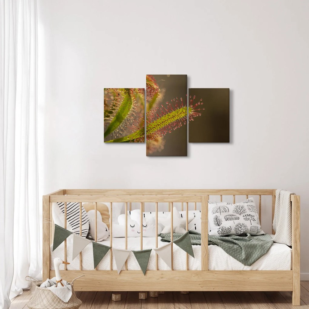Tablou cu plantă (90x60 cm)