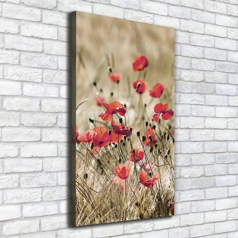 Imprimare tablou canvas Flori de câmp