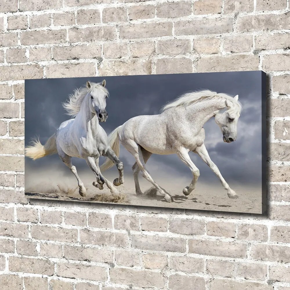 Tablou pe pânză White beach horse