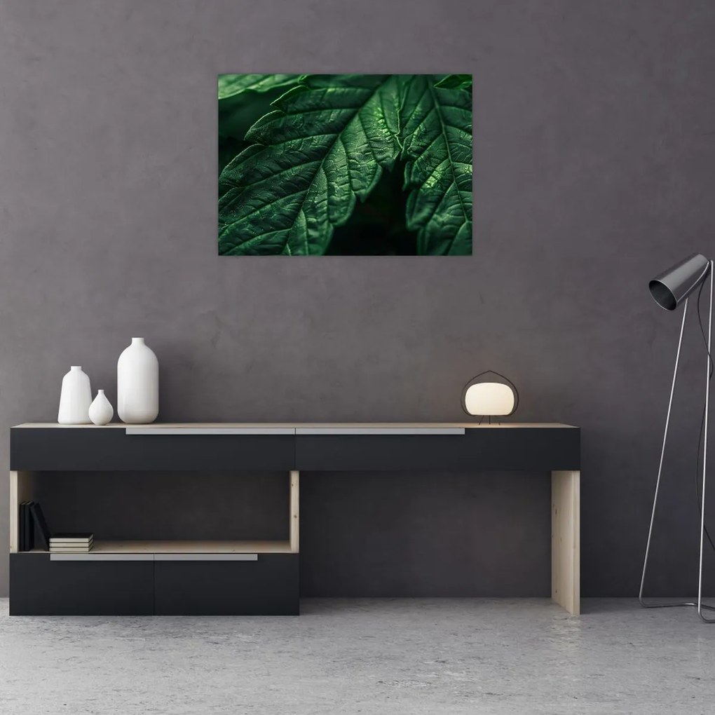 Tablou pe sticlă - Detaliu al foii (70x50 cm)