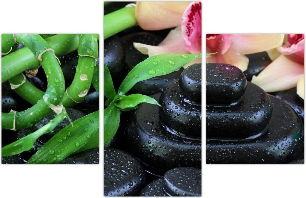 Tablou - Pietre și orhidee (90x60 cm)