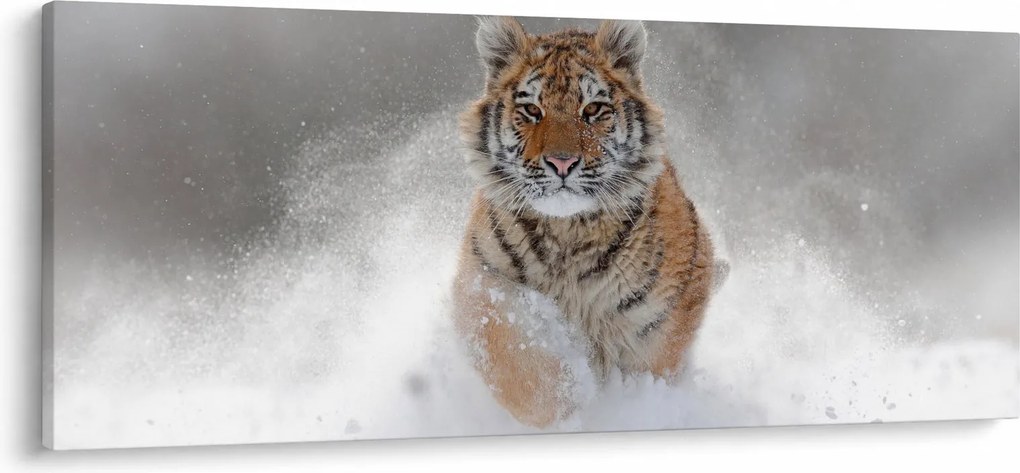 Tablou cutigru fugind prin zăpadă (120x50 cm)