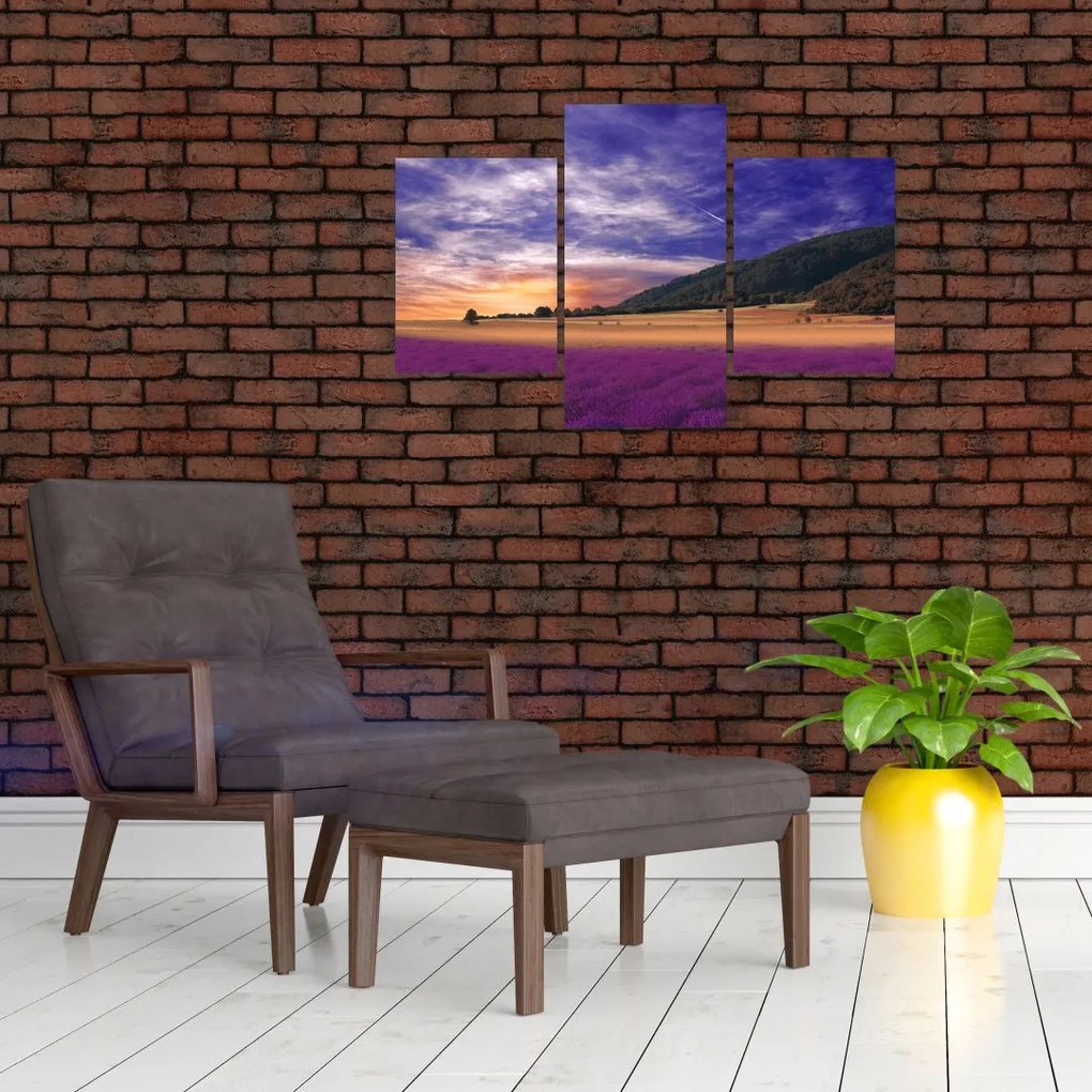 Tablou cu lunca cu lavandă (90x60 cm)