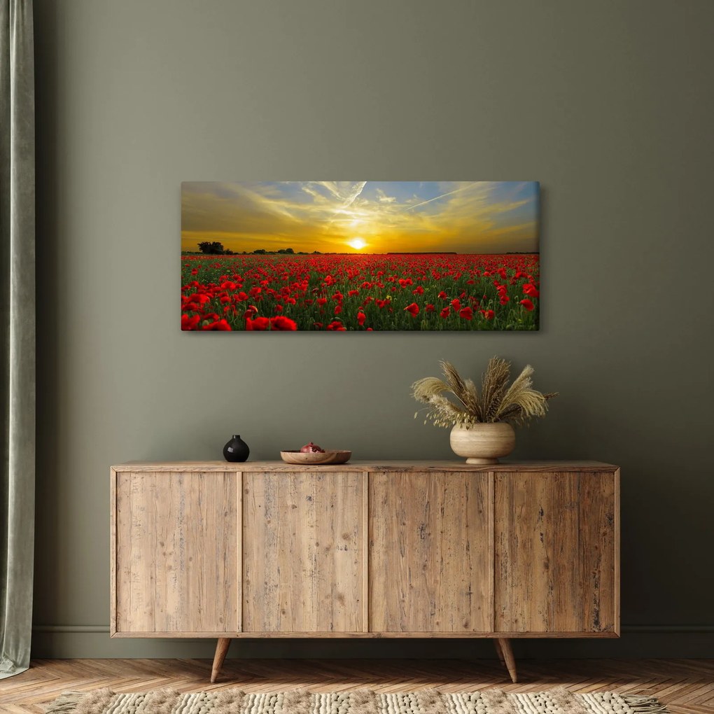 Tablou cu câmp cu maci (120x50 cm)