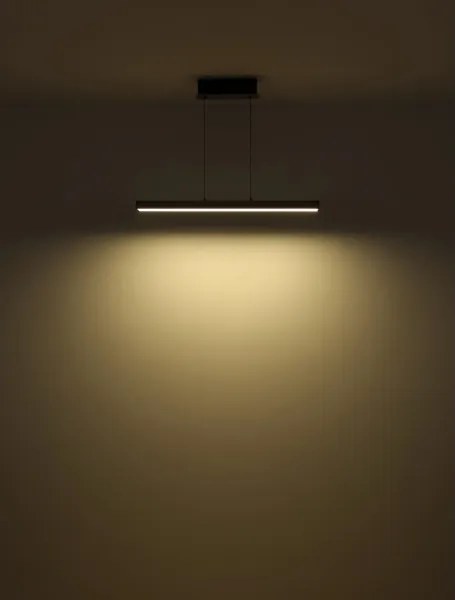 Globo 17016 - Lustra LED dimabilă pe cablu ETHAN LED/39W/230V 2700/4000/6000K gri