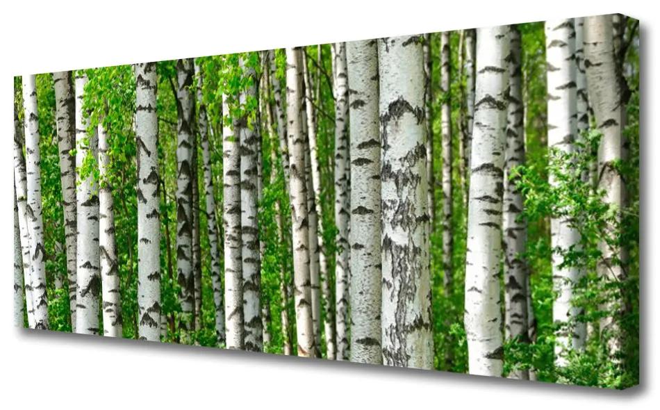 Tablou pe panza canvas Natural Pădurea Neagră Alb Verde