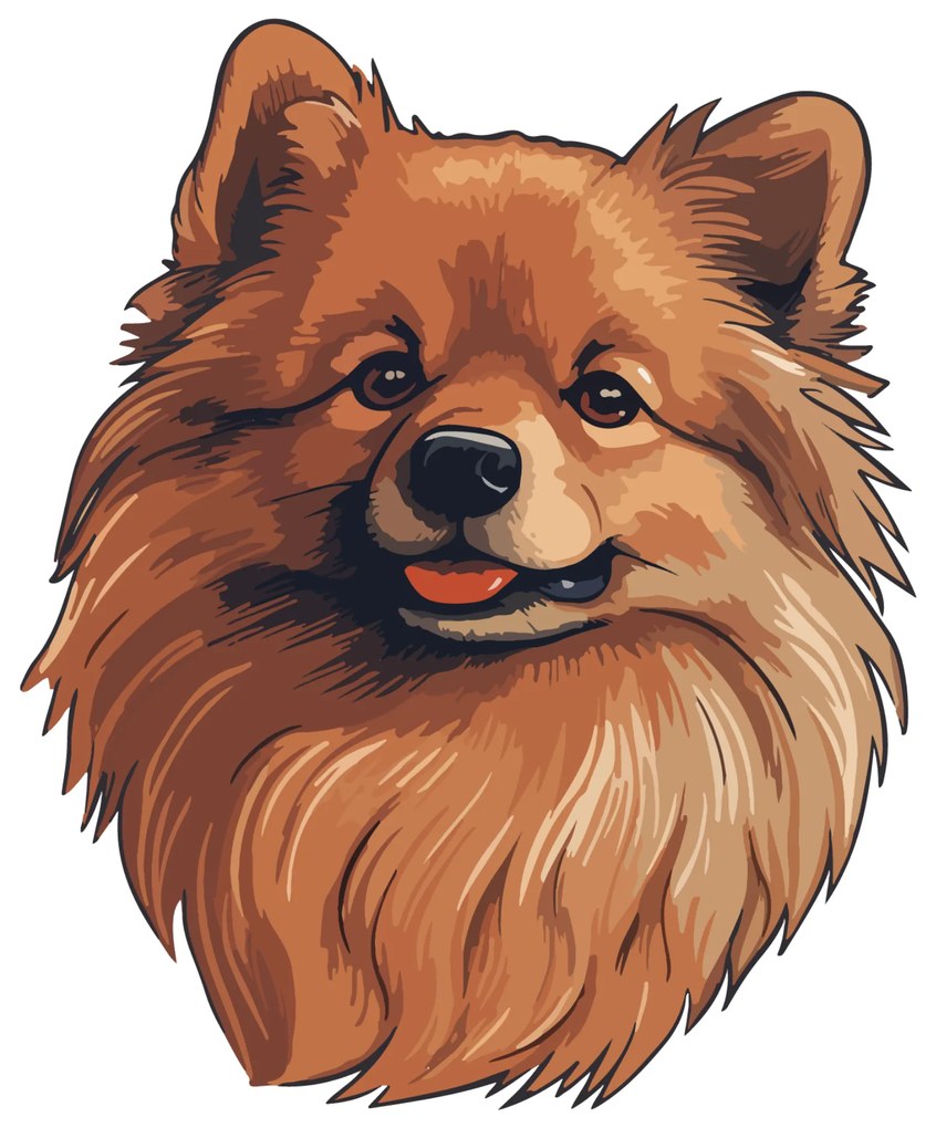 PIPPER. Autocolant Pomeranian mărimea: 60cm