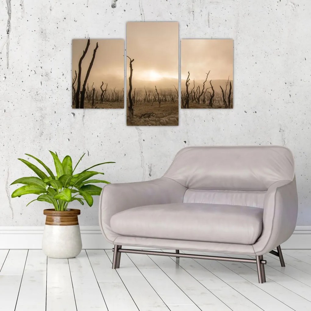 Tablou - Copaci goi (90x60 cm)