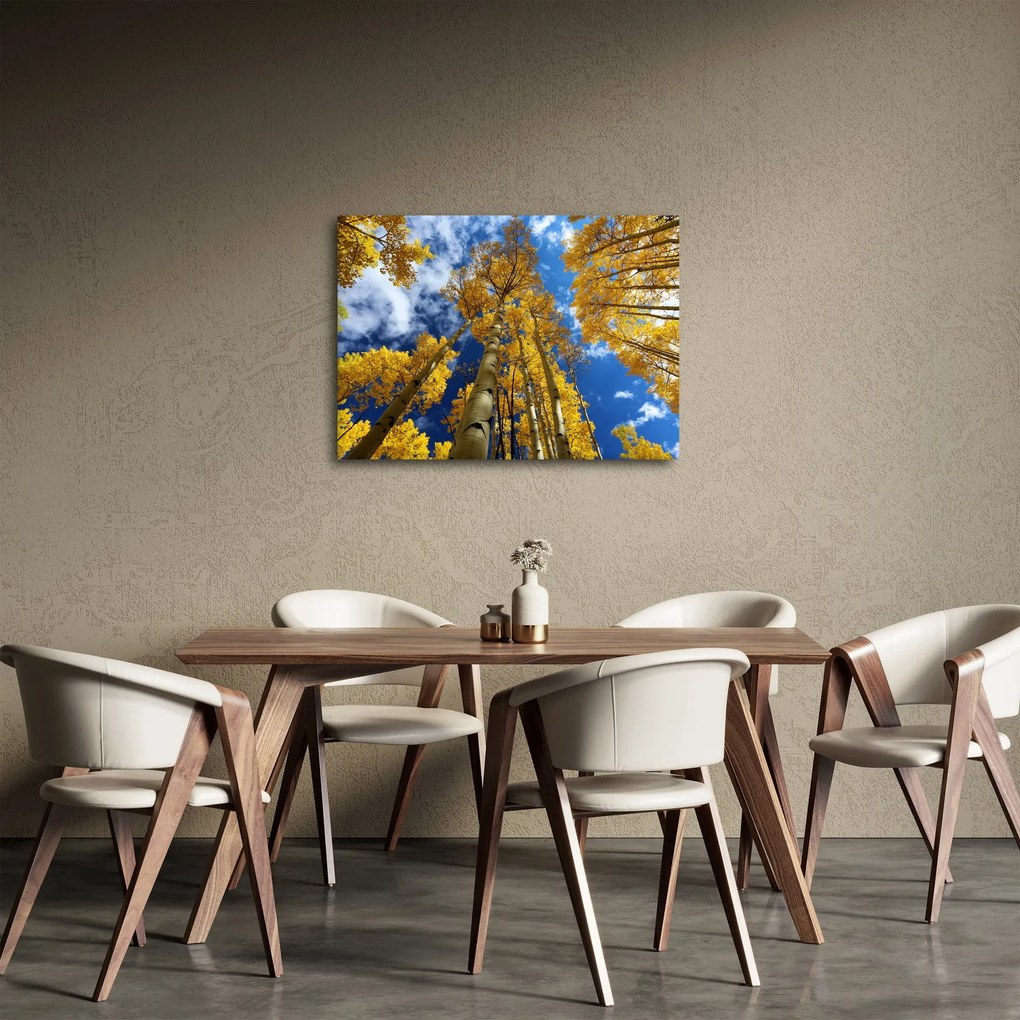 Tablou - Aspen (70x50 cm)
