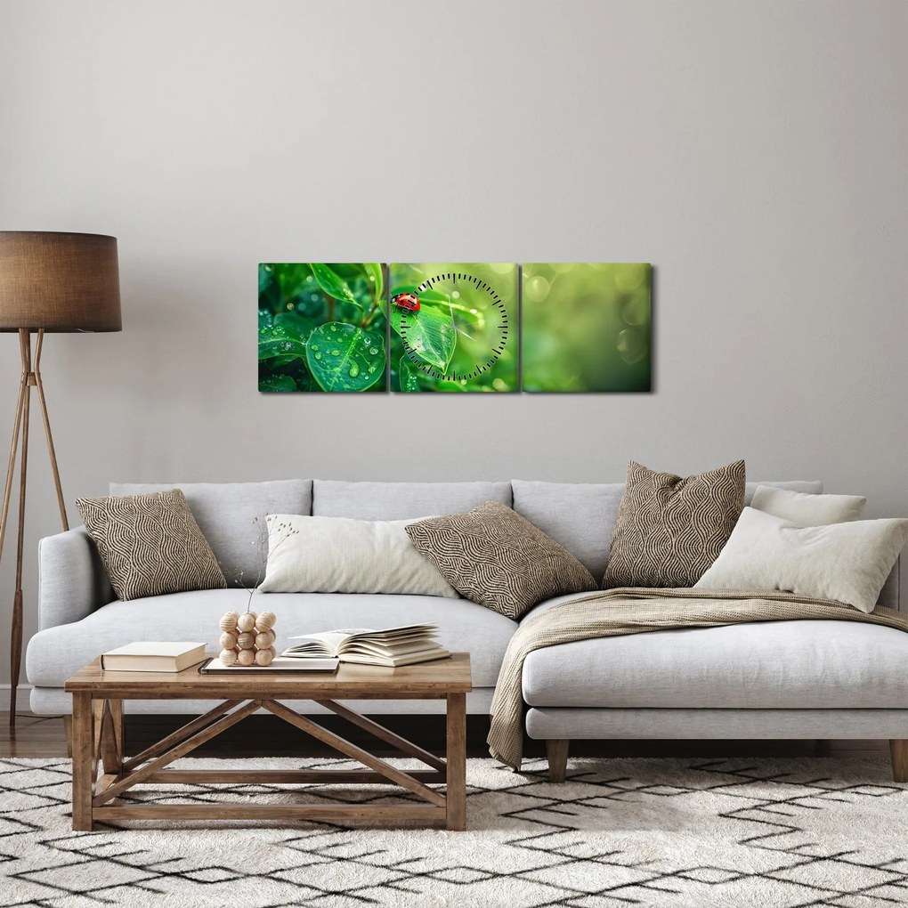 Tablou - Buburuza (cu ceas) (90x30 cm)
