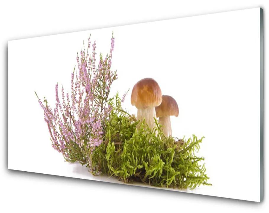 Tablouri acrilice Ciuperci Floral Maro Alb