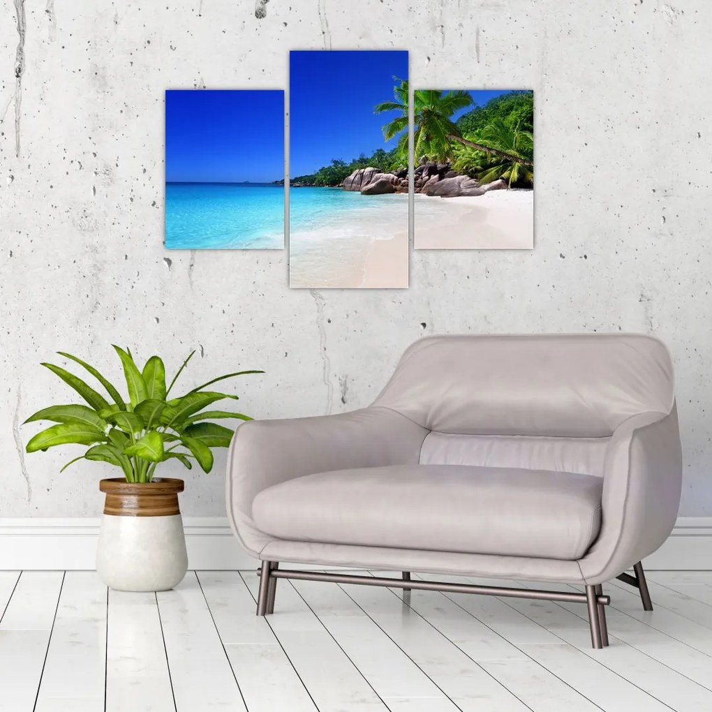 Tablou cu plaja pe insula Praslin (90x60 cm)
