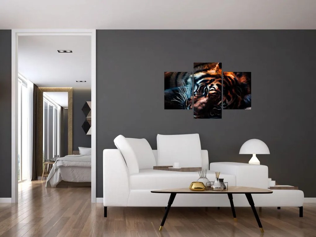 Tablou cu tigrul dormind (90x60 cm)