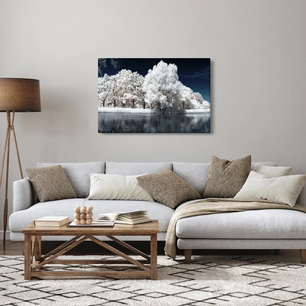 Tablou - Albă ca Zăpada Albă ca Zăpada Copaci (90x60 cm)