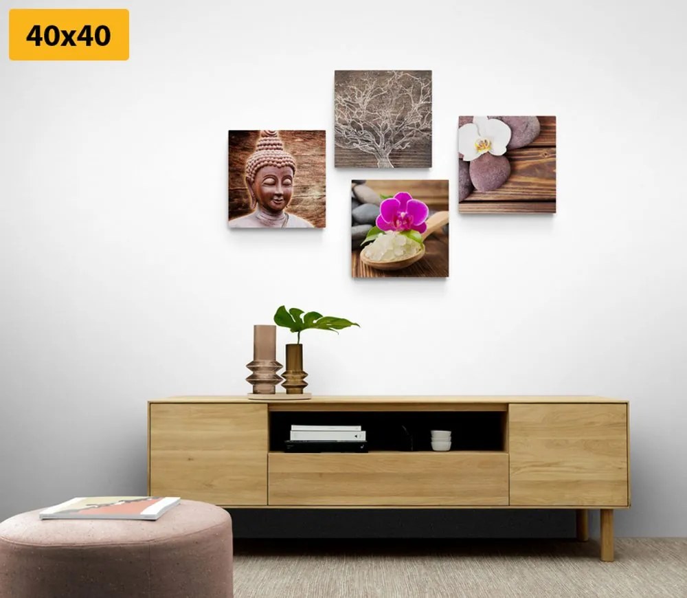 Set tablouri Feng Shui în design natural