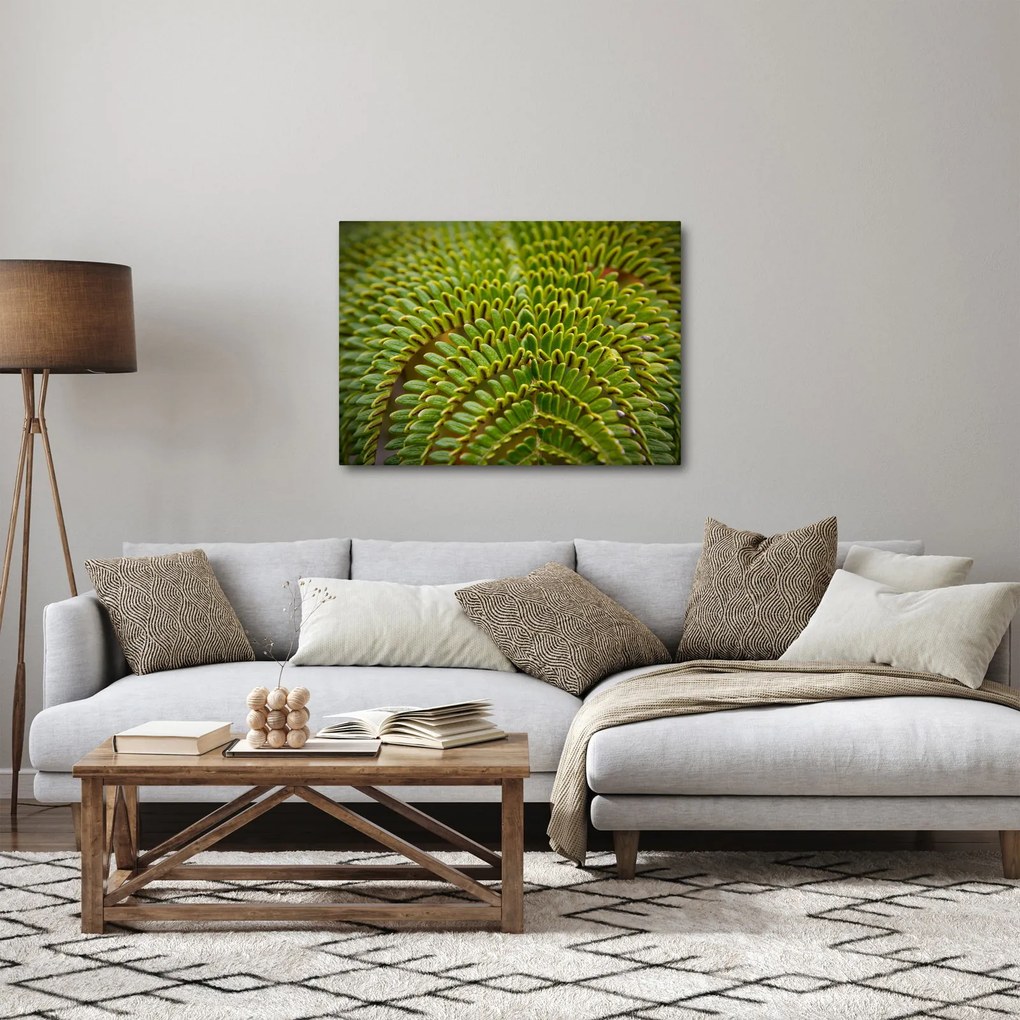 Tablou - Fern (70x50 cm)