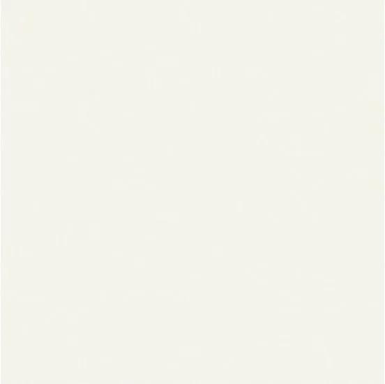 Gresie portelanata Unicolored White 60x60 cm
