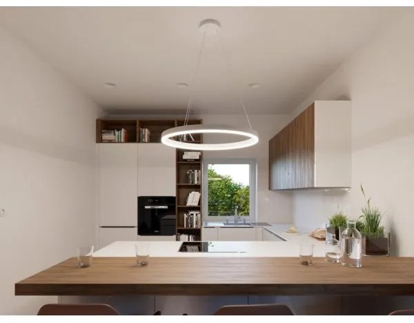 Lustră LED pe cablu CIRCLE LED/42W/230V LED2