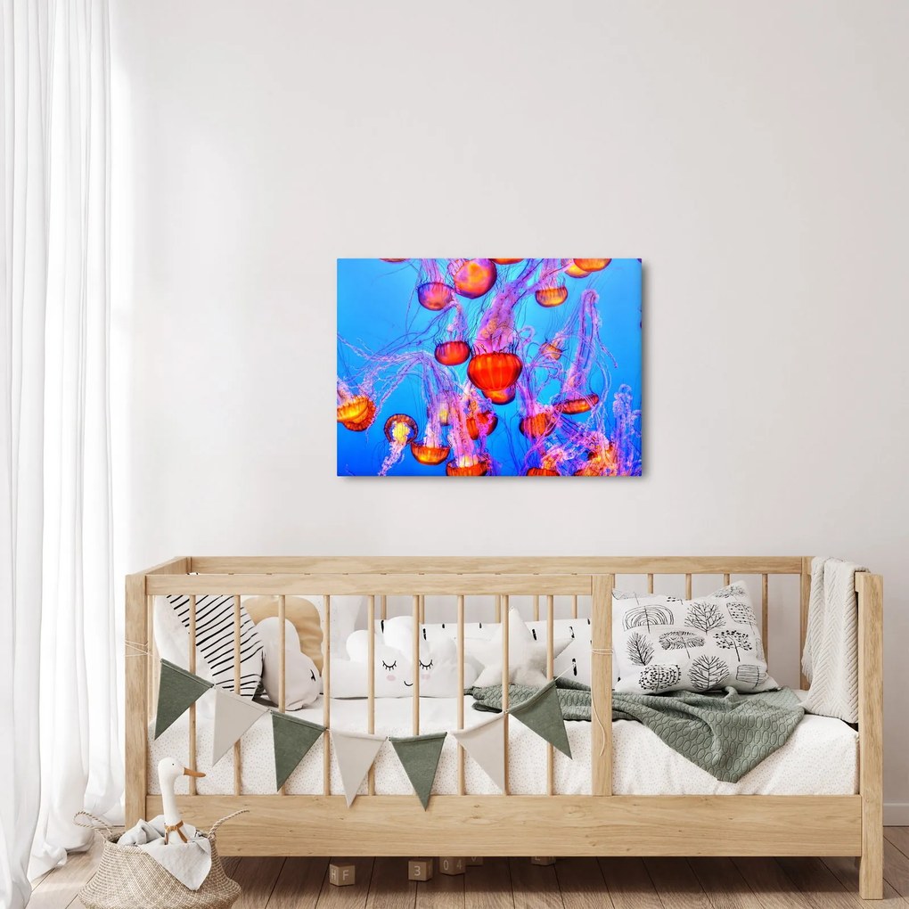 Tablou cu meduse în mare (70x50 cm)