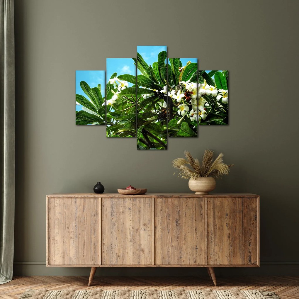 Tablou - Plumeria (150x105 cm)