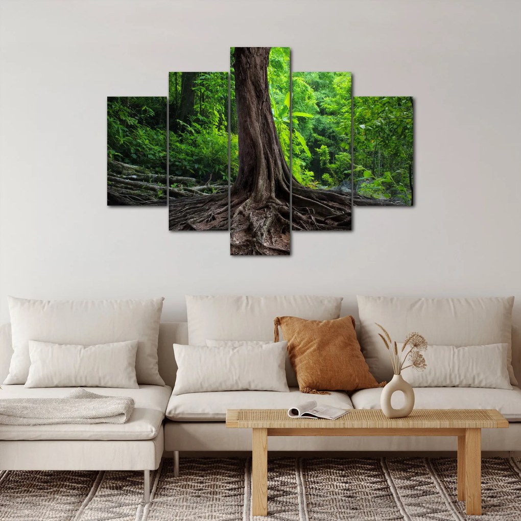 Tablou - Copac bătrîn cu rădăcini (150x105 cm)