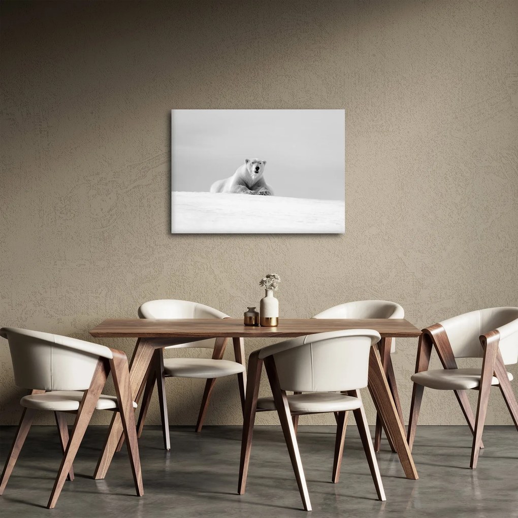Tablou - Urs polar,alb-negru (70x50 cm)
