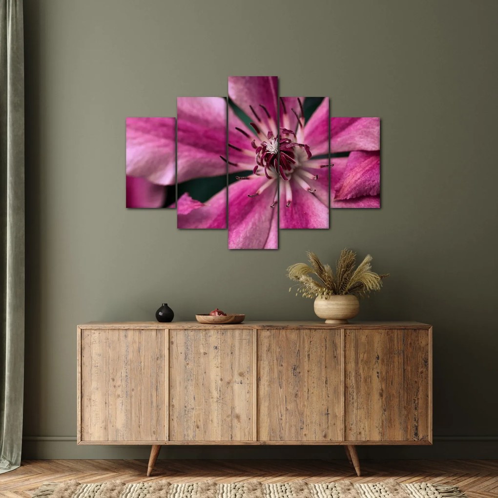 Tablou cu floarea roz de clematis (150x105 cm)
