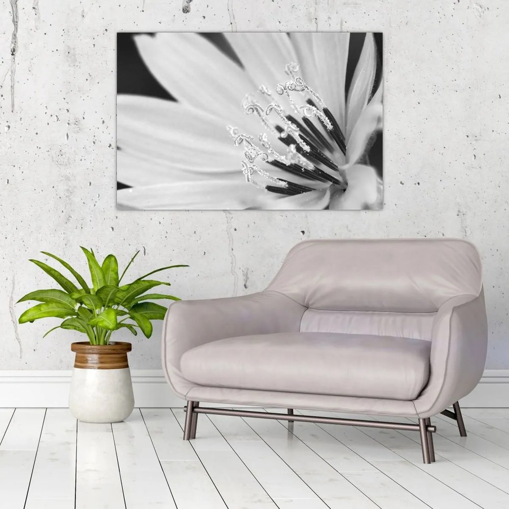 Tablou - Floare albă și neagră (90x60 cm)
